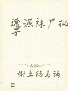 辽源袜厂批发袜子