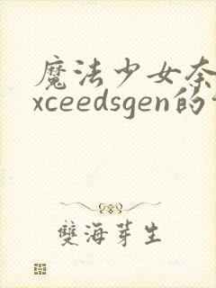 魔法少女奈叶exceedsgen的介绍