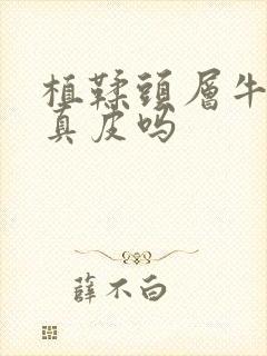 植鞣头层牛皮是真皮吗