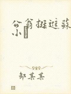 公翁挺进苏玥的小泬
