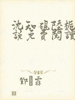 沈知砚陆栀夏小说免费阅读最新章节封面