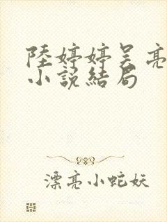 陆婷婷吴亮吴刚小说结局