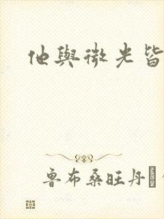 他与微光皆倾城封面