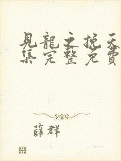 见龙之挽天倾全集完整免费