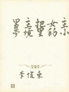 男主把女主拖进梦境里的小说