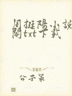 周挺阳小说笔趣阁txt下载