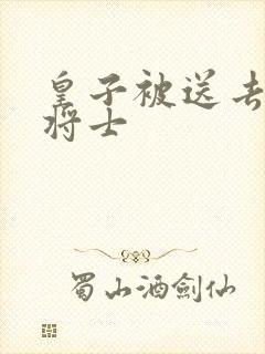 皇子被送去犒劳将士
