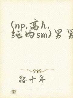 (np,高h,纯肉sm)男男