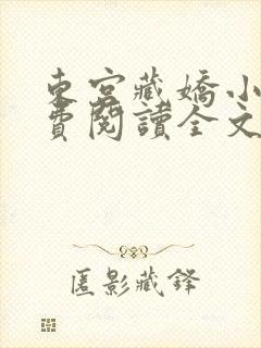 东宫藏娇小说免费阅读全文