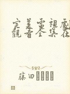 完美电视剧免费观看全集在线观看