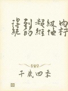 得到超级肉禽系统的维他柠檬茶