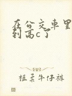 在公交车里c弄到高c了