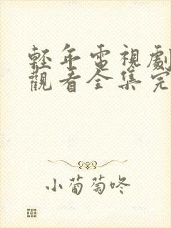 轻年电视剧免费观看全集完整版