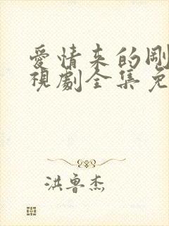 爱情来的刚好电视剧全集免费观看