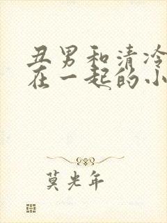 丑男和清冷美人在一起的小说封面