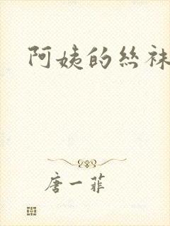 阿姨的丝袜小说