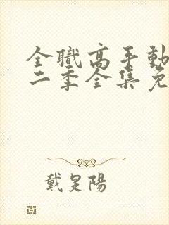 全职高手动漫第二季全集免费观看完整版