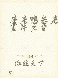 唐老鸭米老鼠动画片免费