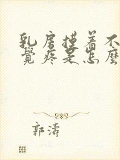 乳房摸着不疼感觉疼是怎么回事呀封面