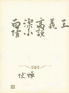 白洁高义王申孙倩小说