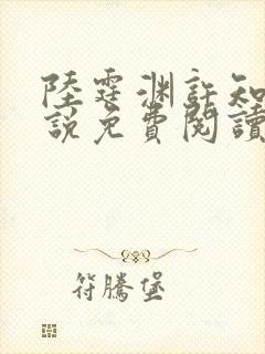 陆霆渊许知知小说免费阅读最新章节封面