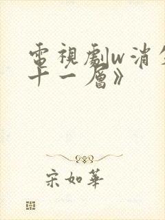 电视剧w消失的十一层》