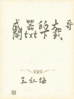 成器的大哥笔趣阁txt下载封面