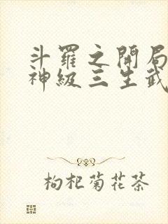 斗罗之开局签到神级三生武魂笔趣阁封面