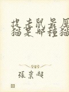 捉老鼠最厉害的猫是哪种猫