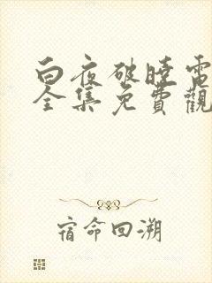 白夜破晓电视剧全集免费观看40集封面