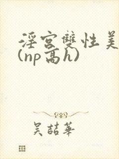 淫宫双性美人录(np高h)