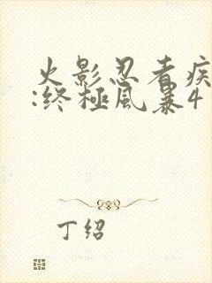 火影忍者疾风传:终极风暴4