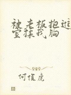 被老板抱进办公室揉我胸