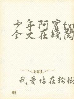 少年阿宾txt全文在线阅读