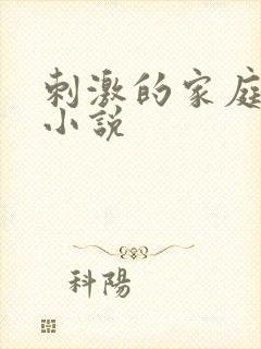 刺激的家庭乱仑小说封面