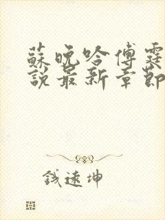 苏晚吟傅霆骁小说最新章节更新时间