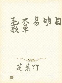 毛不易明日之子歌单封面