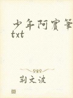 少年阿宾笔趣阁txt