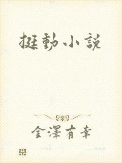 挺动小说