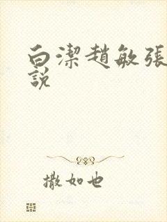 白洁赵敏张倩小说封面