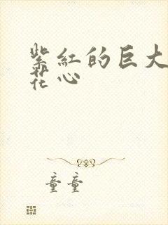 紫红的巨大顶开花心