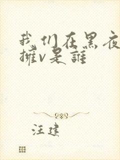 我们在黑夜中相拥v是谁