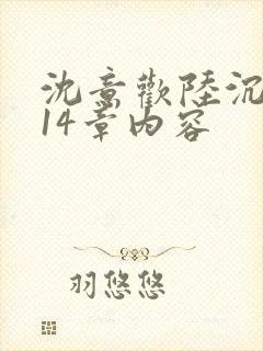 沈意欢陆沉舟第14章内容