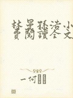 林曼孙浩小说免费阅读全文最新章节