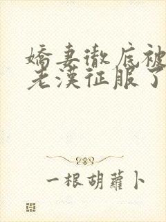 娇妻彻底被门卫老汉征服了封面