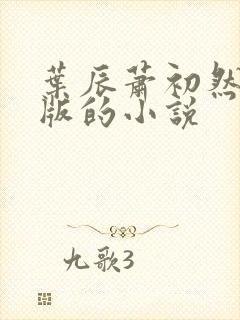 叶辰萧初然最新版的小说封面