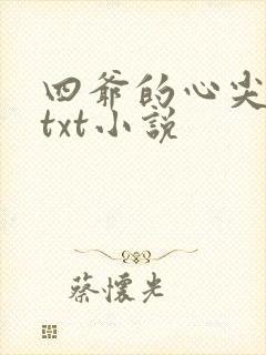 四爷的心尖宠妃txt小说