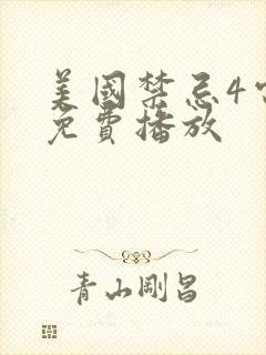 美国禁忌4电影免费播放封面