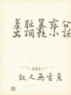 羞耻暴露公共露出调教小说