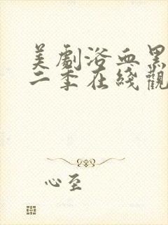 美剧浴血黑帮第二季在线观看封面